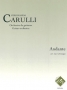 Andante (niveau 2) (Orchestre de guitares)