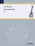 Gitarrenschule f&uuml;r Fortgeschrittene   Band 2