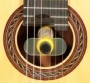Oasis Guitar Humidifier Plus