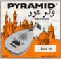 Pyramid Oud Arab Orange 10-strings