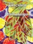 Ultimatango (Guitare et fl&ucirc;te)