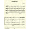 Symphonie no. 13 (4 guit)