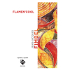 Flamencool (4 guit)
