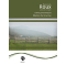 Matin de brume
