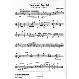 Fee der Nacht (fl/git)