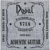 Acoustic Guitar 010/047