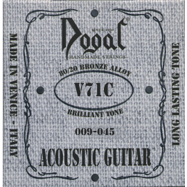 Acoustic Guitar 009/045
