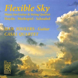 Flexible Sky - Music For Guitar & String Quartet