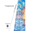 Fragrances (vlc. & guit)