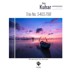 Trio No. 5465798  (guit., flûte et violon)