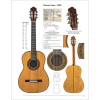 A Collection of Fine Spanish Guitars from Torres to the Present - Second Edition
