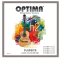 Optima SILVER CLASSICS Kindergitarre h-2 single string