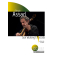 Sun Wukongs Toccata