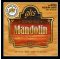 MANDOLIN PUR NICKEL 010/039