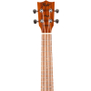 Flight AUC33 Stardust Concert Ukulele