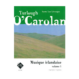 Musique irlandaise, vol. 1 (niveau 2) (4 guit)