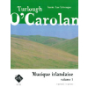 Musique irlandaise, vol. 1 (niveau 2) (4 guit)