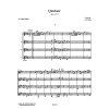 Quatuor opus 2, no 2 (4 guit)