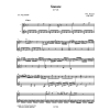 Sonate KV 545 (2 guit)