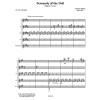 Serenade of the Doll (Orchestre de guitares)