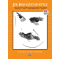 Joe Pass Guitar Style (Book & CD)