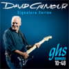 David Gilmour Signatur Set .010-.048