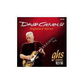 David Gilmour Signatur Set .0105-.050