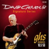 David Gilmour Signatur Set .0105-.050