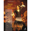 Mein erster Flamenco