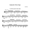 Guitarists First Steps, vol. 2