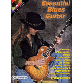 Essential Blues Guitar