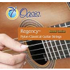 Regency Nylon Guitar Strings - NT