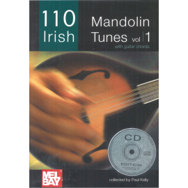 110 IRISH MANDOLIN TUNES, VOL. 1 BOOK/2CD SET