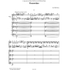 Concertino (2 guit et orch. de guit)