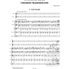 Concerto Tradiciónuevo (Flûte, guitare et orchestre à cordes)