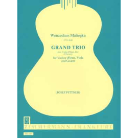 Grand Trio (Vl(Fl)/Va/Gtr)