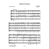 Sinfonia Veneziana (4 guit.)