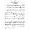 Quartetto after Mattiekgas Nocturne (Flöte, Viola, Violoncello, Gitarre)