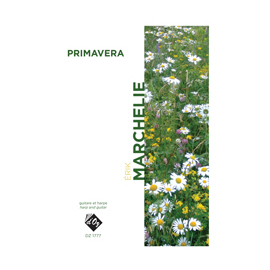 Primavera (Harpe et Guitare)