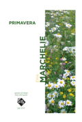 Primavera (Harpe et Guitare)