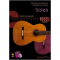 Progressive studies for Flamenco Guitar. Soleá (Book/DVD)