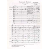 Concerto in D minor for Lute & Strings (score only)