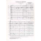 Concerto in D minor for Lute & Strings (score only)
