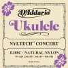 Ukulele Concert "Nyltech"