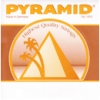 Pyramid Oktavgitarre carbon 38-40cm