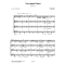 Norwegian Dances op. 35, nos 2 & 3 (4 guit)